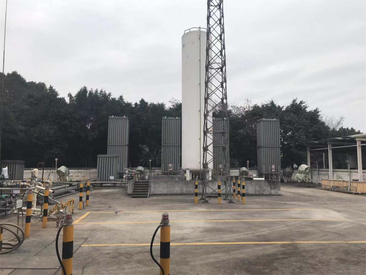 1562234117154613.jpg 11.jpg